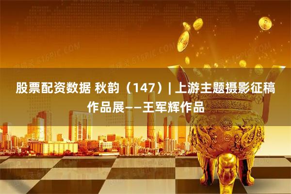 股票配资数据 秋韵（147）| 上游主题摄影征稿作品展——王军辉作品