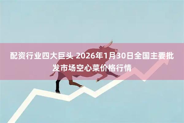 配资行业四大巨头 2026年1月30日全国主要批发市场空心菜价格行情
