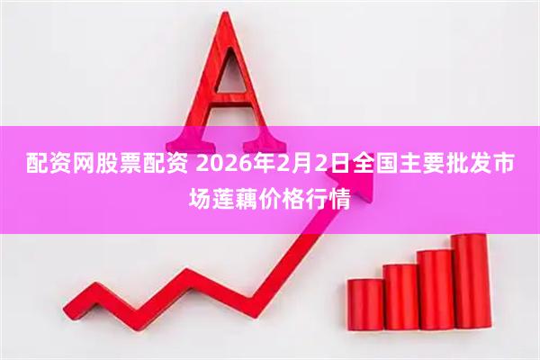 配资网股票配资 2026年2月2日全国主要批发市场莲藕价格行情