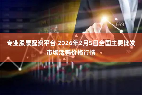专业股票配资平台 2026年2月5日全国主要批发市场活鸭价格行情